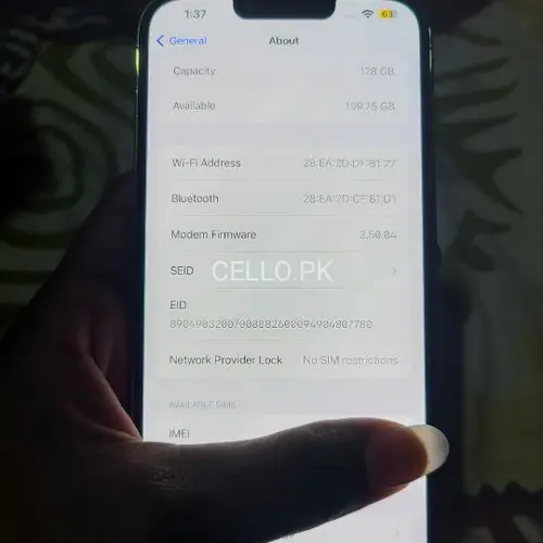 Apple iPhone 13 Pro Max Mobile Price in Pakistan