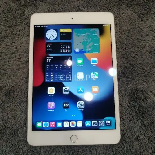 Apple iPad mini 4  Mobile Price in Pakistan
